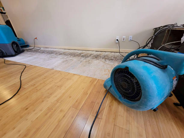 Professional Water Extraction technician working in Shapleigh, ME